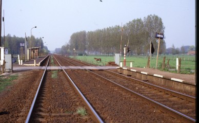 La Cavée - TH 84-5821.jpg